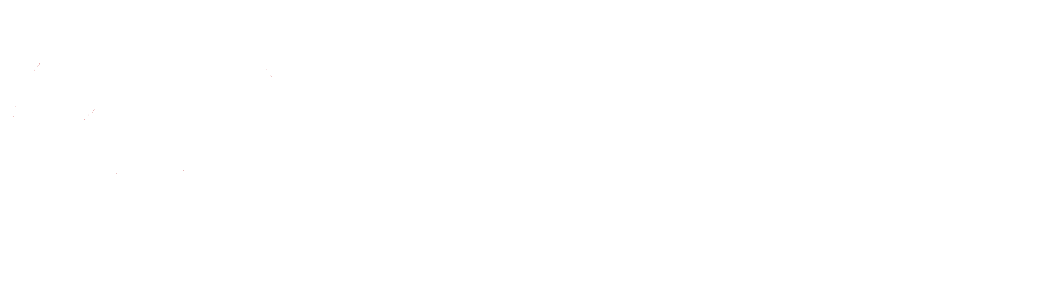 File Audit