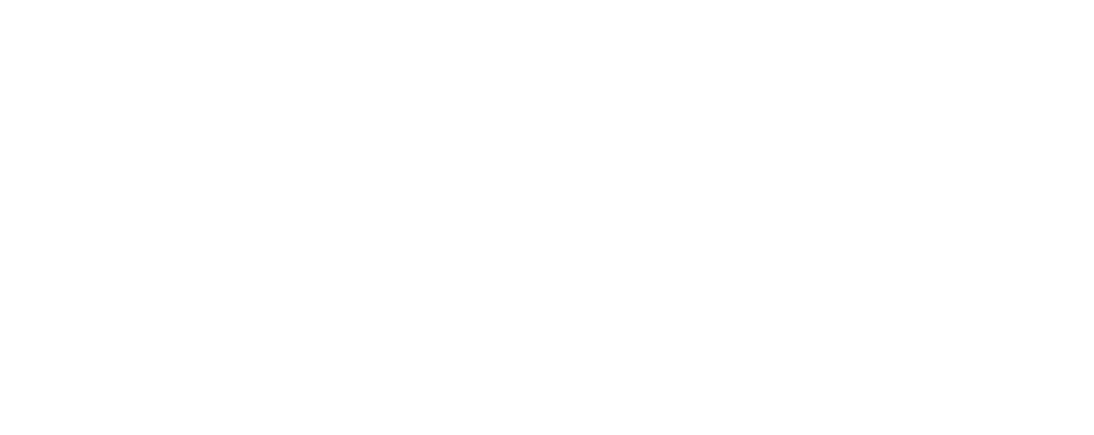 Orca Security